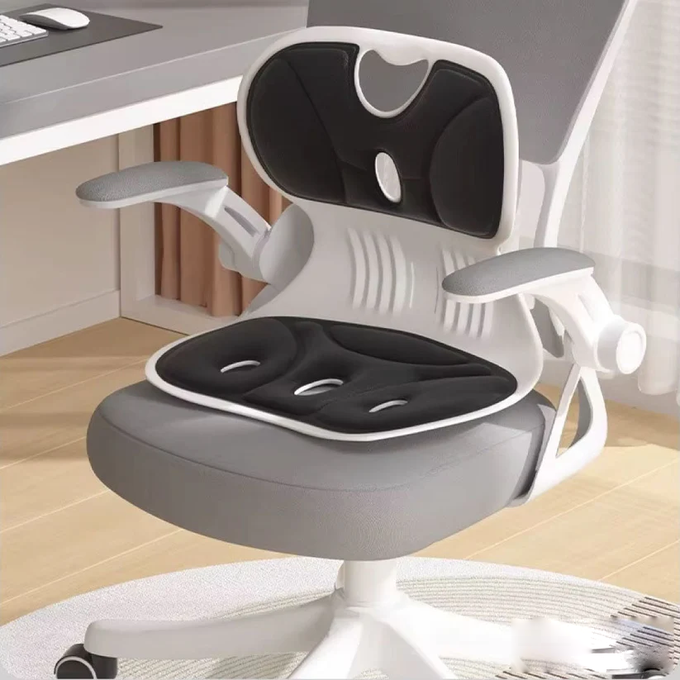 Coussin de Soutien Lombaire