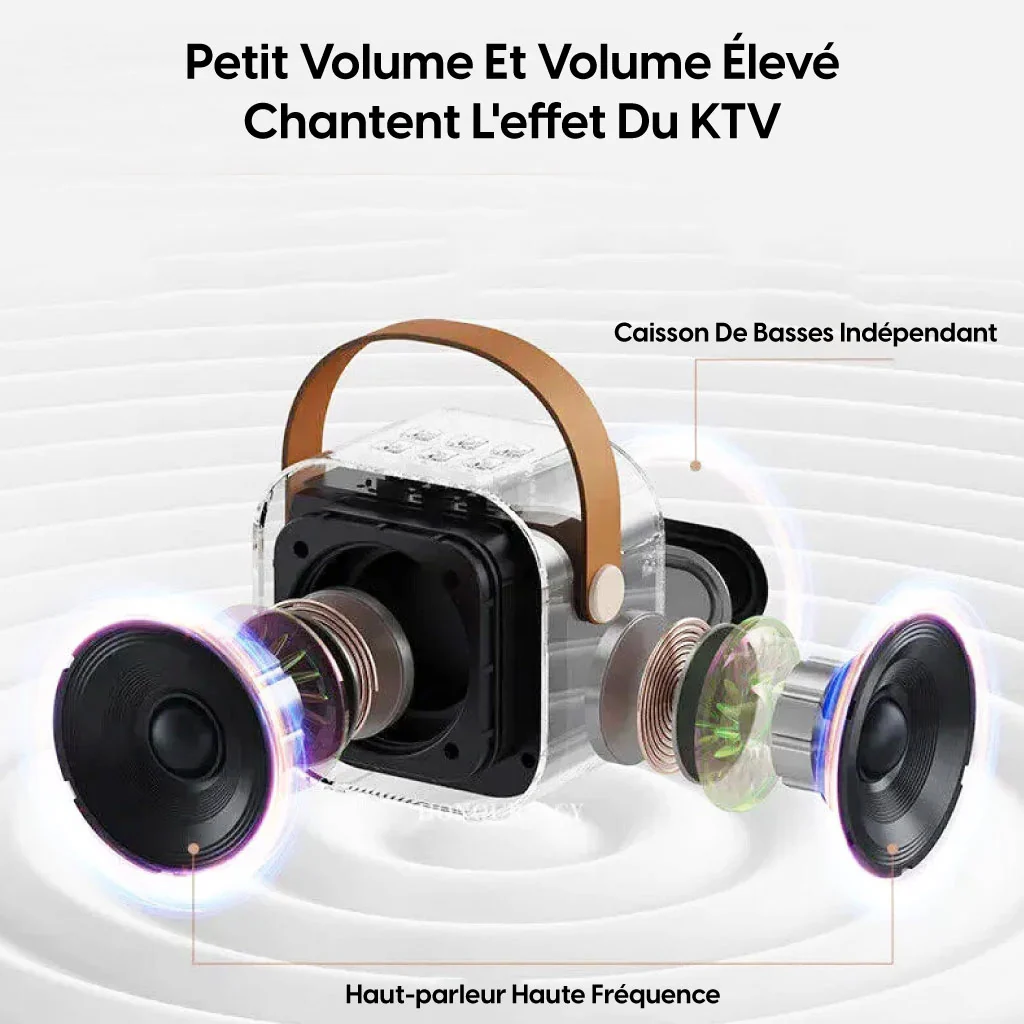 Mini-haut-parleur Portable Karaoké +2 Microphones